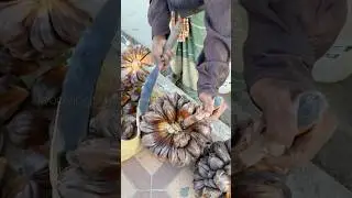 The Most Unique Fruit in the World - Here's How You Eat It!  #shorts #streetfood