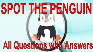 'Spot the Penguin'  Quiz Diva Answers | All Possible Questions