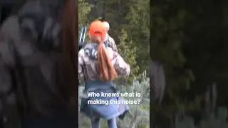 Strange noise in the woods