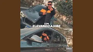 Elevando a Vibe