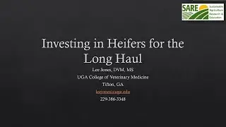 Heifer Development Series - Overview and Health Management