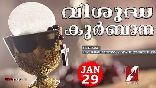 HOLY MASS LIVE @ 6 AM, 29-JAN-2026|FR BAIJU ANTONY VC|MALAYALAM QURBANA|TODAY MASS|GOODNESS TV