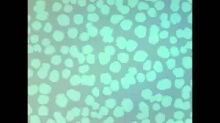 Silver Nanoparticle Self-assembly at Liquid-air Interface (Making a Complete  Monolayer)