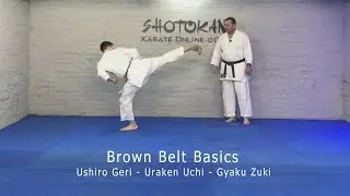 2nd Kyu Syllabus ushiro geri uraken uchi gyaku zuki Brown belt basics