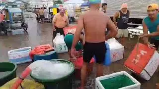 #philippines AFTER BAGYONG TINO LUMAOT MGA BANGKA SA TAMBAN MAY HULI PERO MAHAL