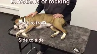 Rocking in PetMassage