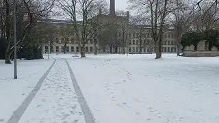 Ravensberger Park Bielefeld 09.01.2026