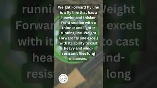 What is Weight Forward Fly Line?