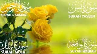 Heart Calming Surah Yaseen tilawat ❤️ Surah Rahman ❤️ Surah Mulk ❤️ Surah Waqiah #quranrecitation 