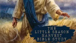 The Little Season Harvest ~ Bible Study with @BiblicallyBased101 and @DonicaTibbetts