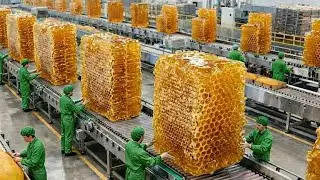 Real Honey vs Fake: How to Tell If Honey Is 100% Pure 