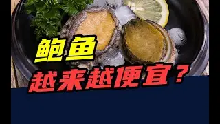 从一斤200元，到10块钱3只！鲍鱼，为啥越来越便宜了？