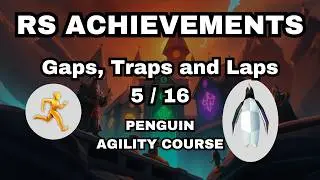 GAPS TRAPS AND LAPS - 5 - PENGUIN AGILITY COURSE