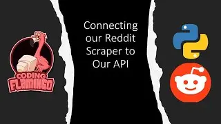How to Call an API with Python  - WSB Website Part 2