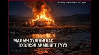 МАЛЫН ХУЛГАЙГААС ЭХЭЛСЭН АЙМШИГТ ТҮҮХ.МОНГОЛ  БОДИТ  ХЭРЭГ