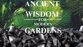 Biochar: Where Ancient Wisdom Meets Modern Gardens