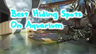 BO3 Best Hiding Spots On Aquarium