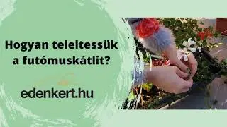 Hogyan teleltess&uuml;k a fut&oacute;musk&aacute;tlit?