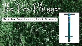 How To Grow Grass In Dead Spots / The Pro Plugger Unboxing/ Review ​#grass #pluggers