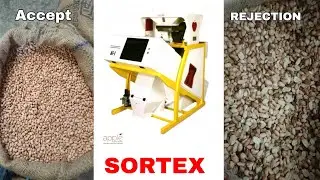 PEANUT BEST SORTEX || APPLE COLOR SORTER || मूंगफली की सबसे अच्छी सॉर्टेक्स मशीन || #penutsmachinery