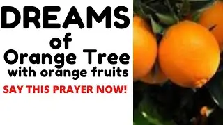 DREAMS OF ORANGE TREE with ORANGE FRUITS | PRAYERS WHEN YOU SEE ORANGE FRUITS IN DREAM | Dream means