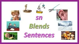 Phonics Blends: 