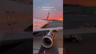 ✈ 𝗞𝗲𝗲𝗽𝗶𝗻𝗴 𝗔𝗶𝗿𝗽𝗼𝗿𝘁𝘀 𝗠𝗼𝘃𝗶𝗻𝗴: 𝗧𝗵𝗲 𝗣𝗼𝘄𝗲𝗿 𝗼𝗳 𝗚𝗿𝗼𝘂𝗻𝗱 𝗦𝘂𝗽𝗽𝗼𝗿𝘁 𝗘𝗾𝘂𝗶𝗽𝗺𝗲𝗻𝘁