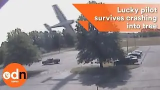 Lucky pilot survives crashing into tree