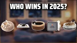 The Top 5 Best Heated Dog Beds in 2025 - Must Watch Before Buying!
