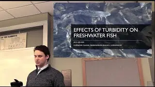 Effects of Turbidity on Freshwater Fish Growth by Jack Layland