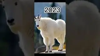 2023 mountain goat🐏and 5,500bce mountain goat🐏// mythical biology🧫//💯#trendingshorts #youtubeshorts