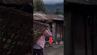 🌿 Pure Organic Village Life | Natural Beauty of Rural Living#short #foryou #trending #viral#nature