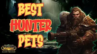 Полное руководство по питомцам для SoD Hunter
