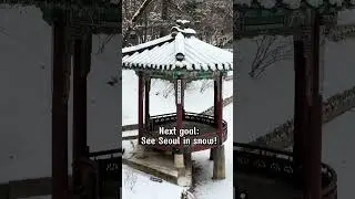 Seoul's Winter Marvels Await My Next Adventure