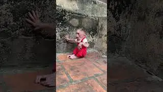 The dog Bibi slapped the baby monkey and ran away.