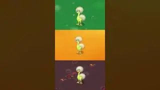 Dandidoo -  Earth Island Vs Fire Haven Vs Water Island (My Singing Monsters)