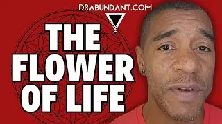 The Flower of Life: Understanding Your Reality and Interconnection