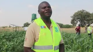 Sustainable livelihoods Project by Environment Africa Zambia EA Documentary