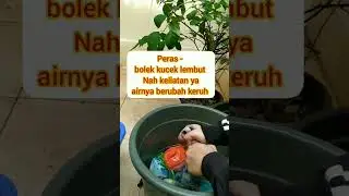 tutorial stripping Clodi mudah hemat simple dengan Magic Clean