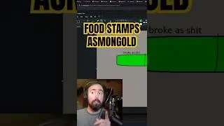 Asmongold Take on Food Stamps #shorts #shortvideo #shortsfeed #asmongold #foodstamps #job #streamer