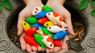 Catching Rare Aquarium Fish with Cute Baby Turtles eel, frog, pencil fish, guppies, nemo fish
