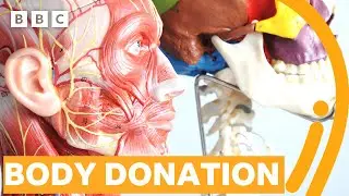 Donating Your Body to Science: What Happens?