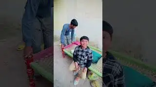 Billi ka attack