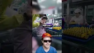 Worker Tests 8000 Vapes Per Day