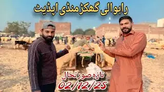 Rahwali Ghakhar Mandi Update Today | Fresh Goat Stock & Latest Bakra Prices