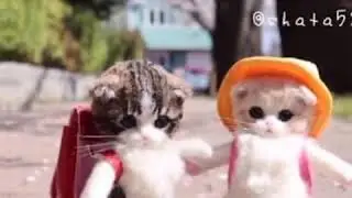 Kucik