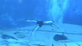 The Merman Mertailor Eric Duchame at Weeki Wachee Springs Show