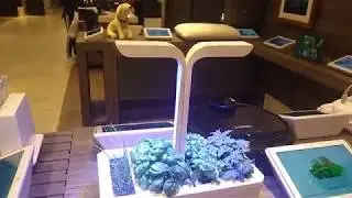 V&eacute;ritable &ndash; autonomous indoor Garden system