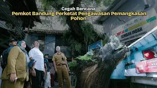 Cegah Bencana, Pemkot Bandung Perketat Pengawasan Pemangkasan Pohon