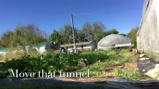 Urban Roots Farm high tunnel move.